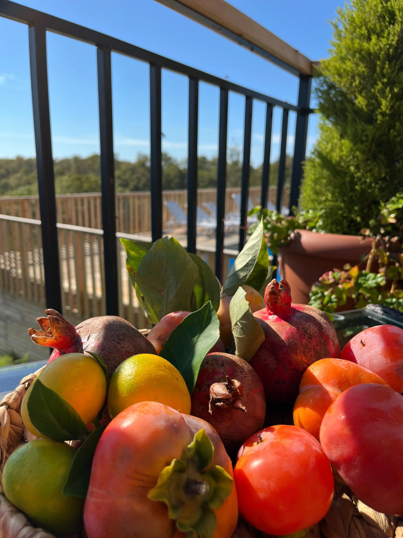 Гостевой Дом Айфреймы Пицунда