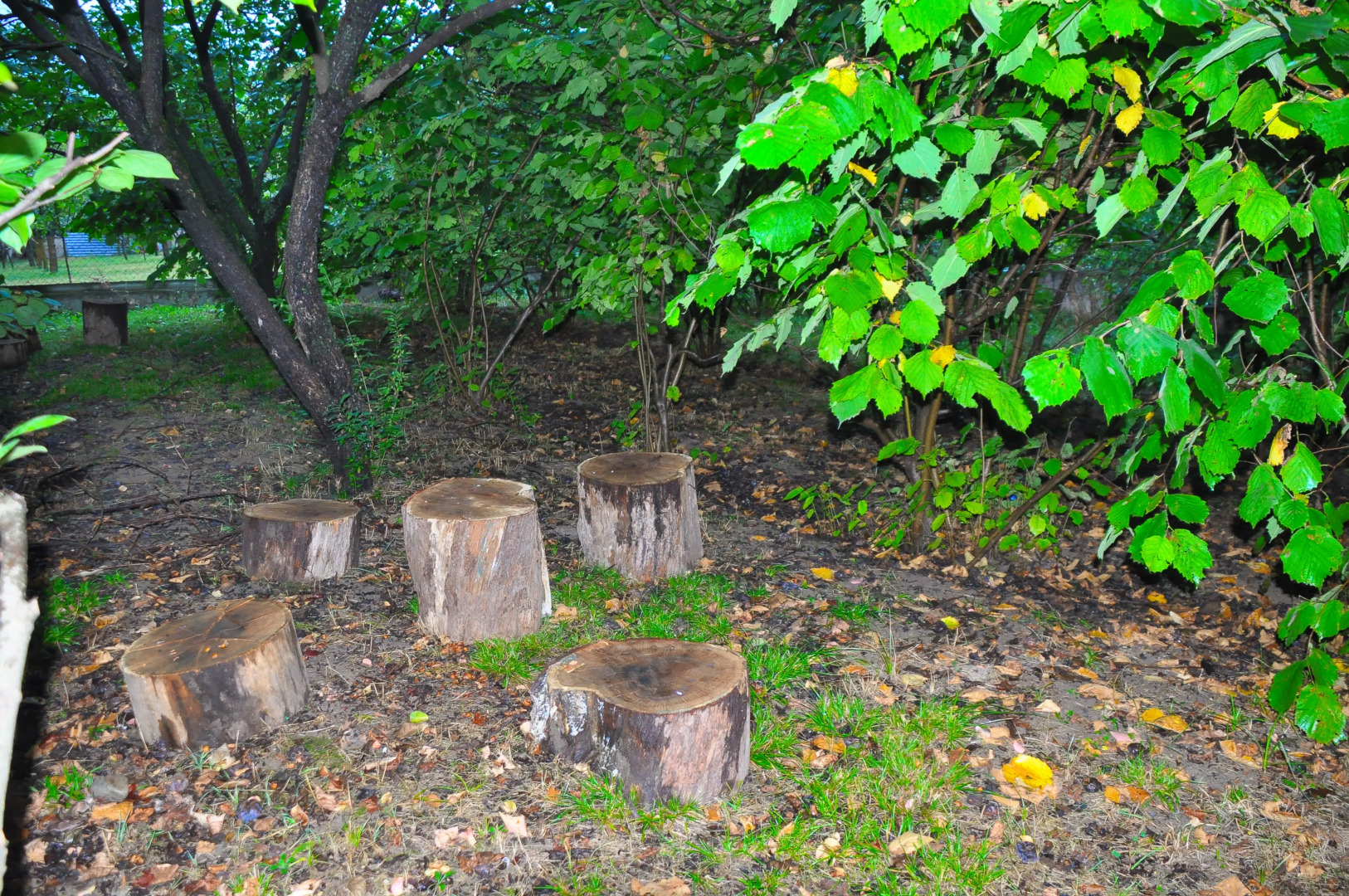 Гостевой дом Kamar