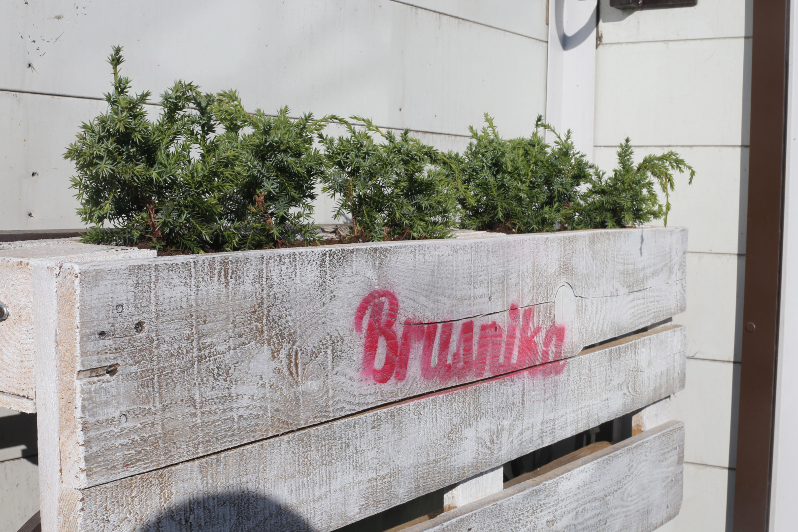 Хостел Брусника