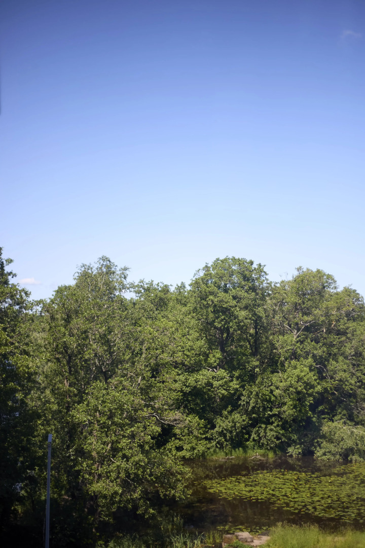 Квартира DD.APARTS.VBG: на Первой Береговой Линии в Новом Жк Малая Финляндия