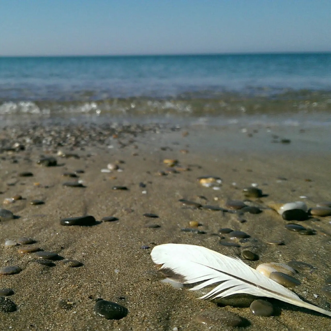 Гостевой Дом Coral