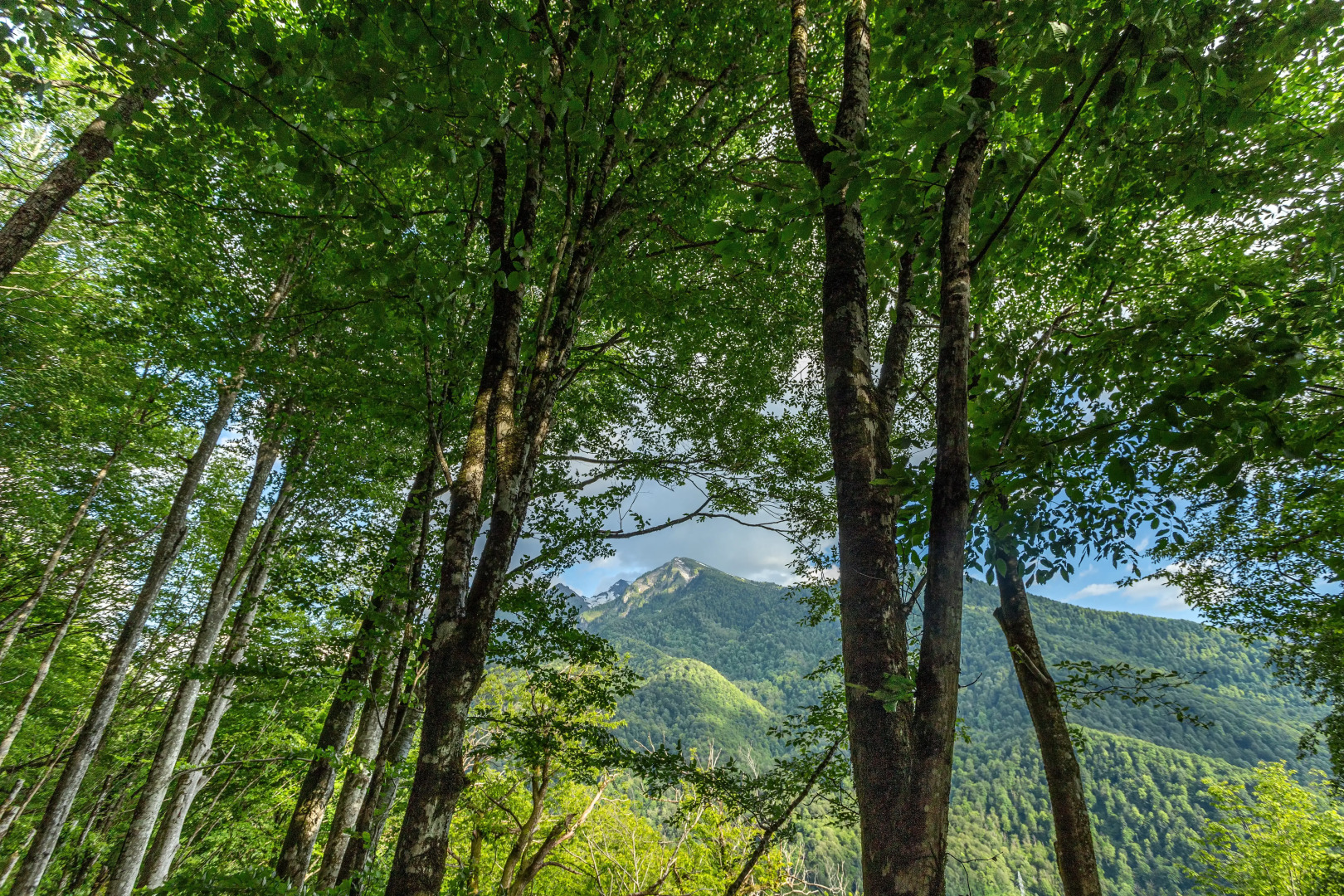 Счастье в тишине