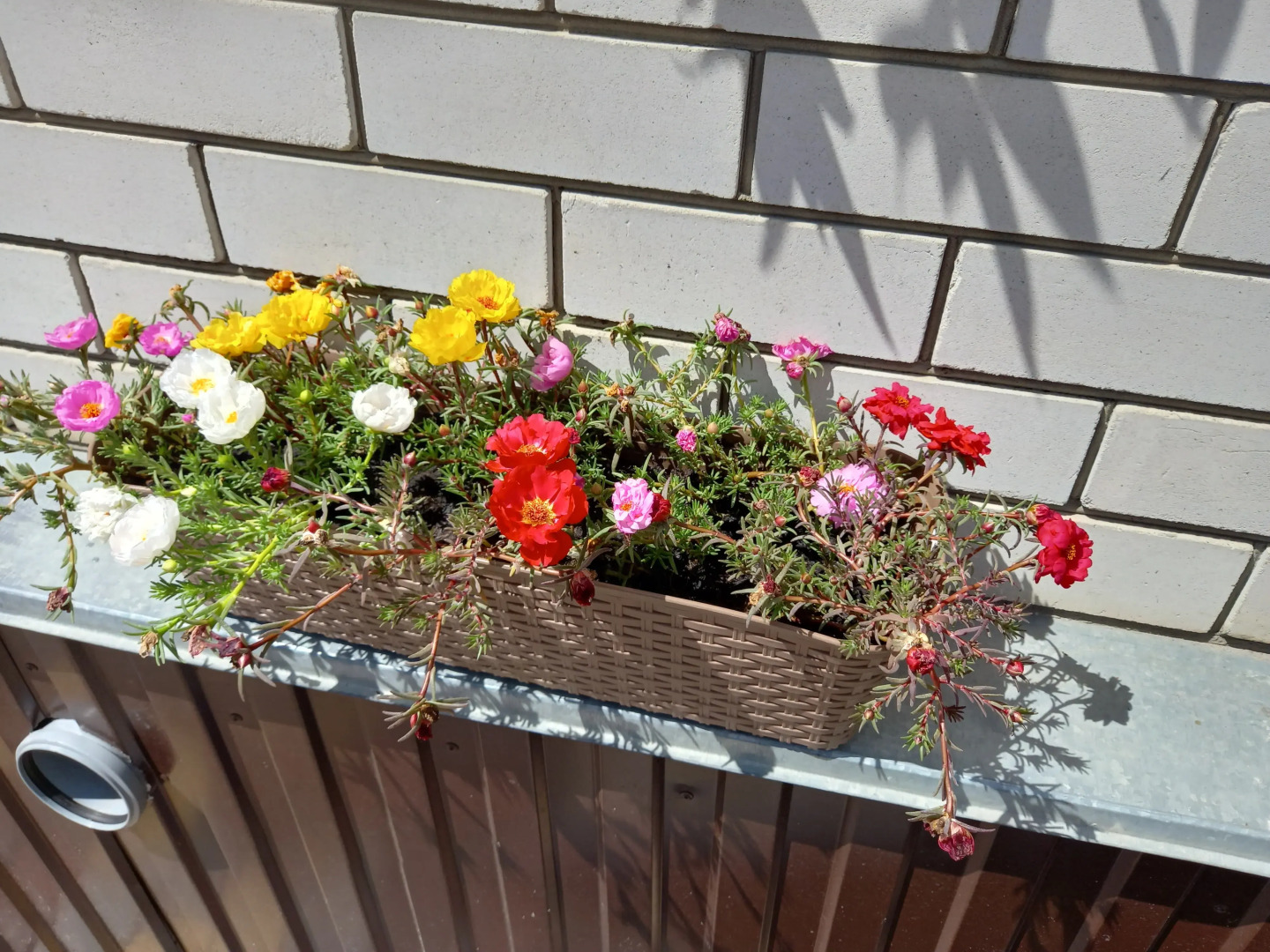 Двухэтажный частный дом на Герасимова