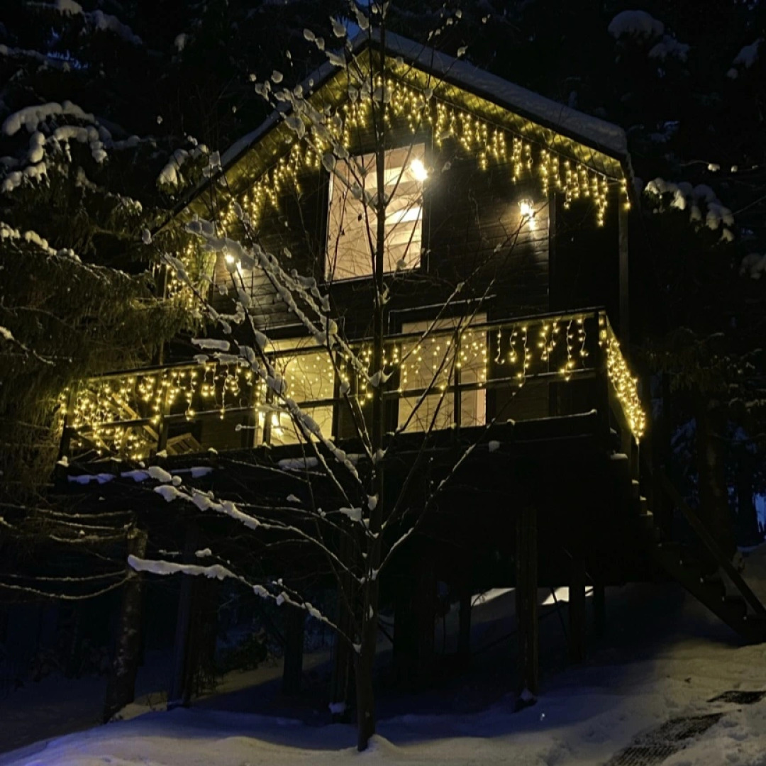 Глэмпинг Опушка Дом среди деревьев