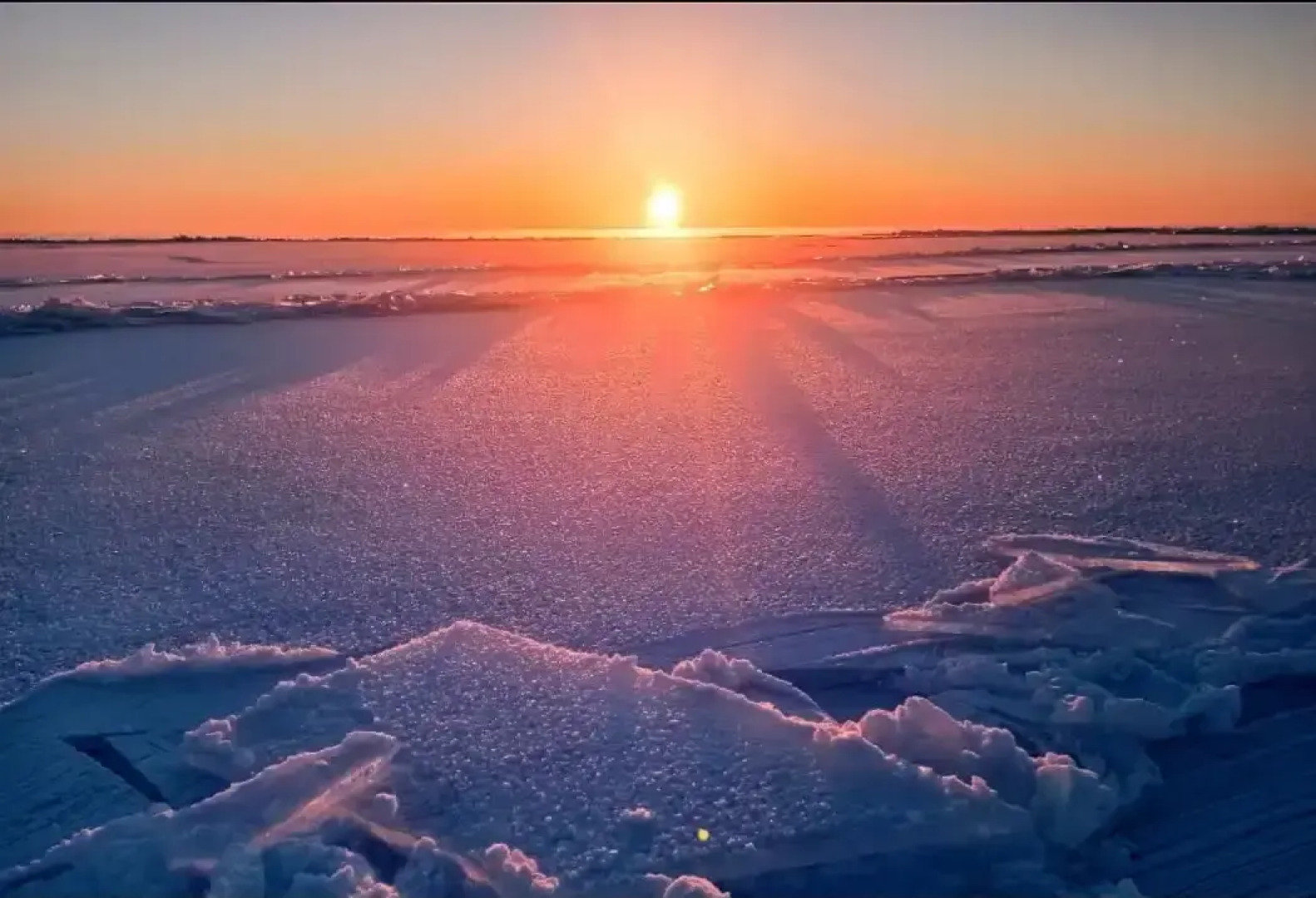 Гостевой дом Лисий берег