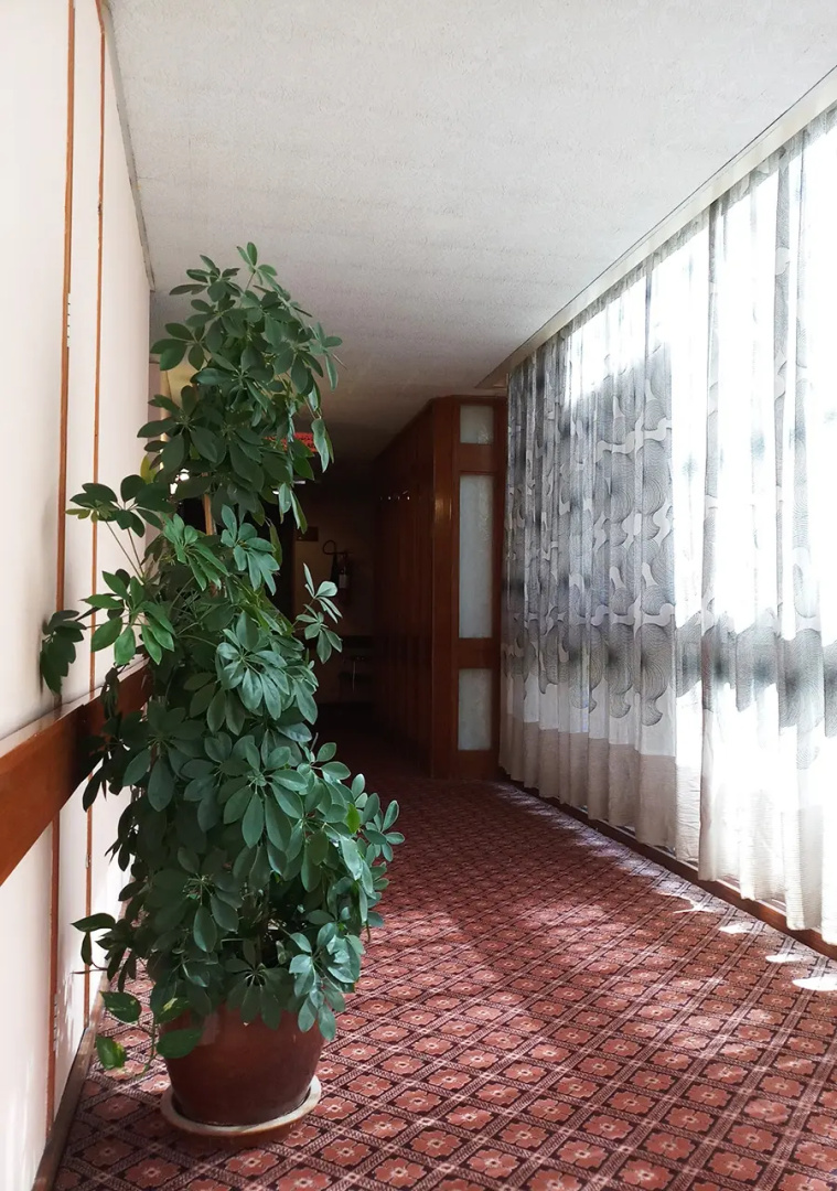 Отель Oriental Palace