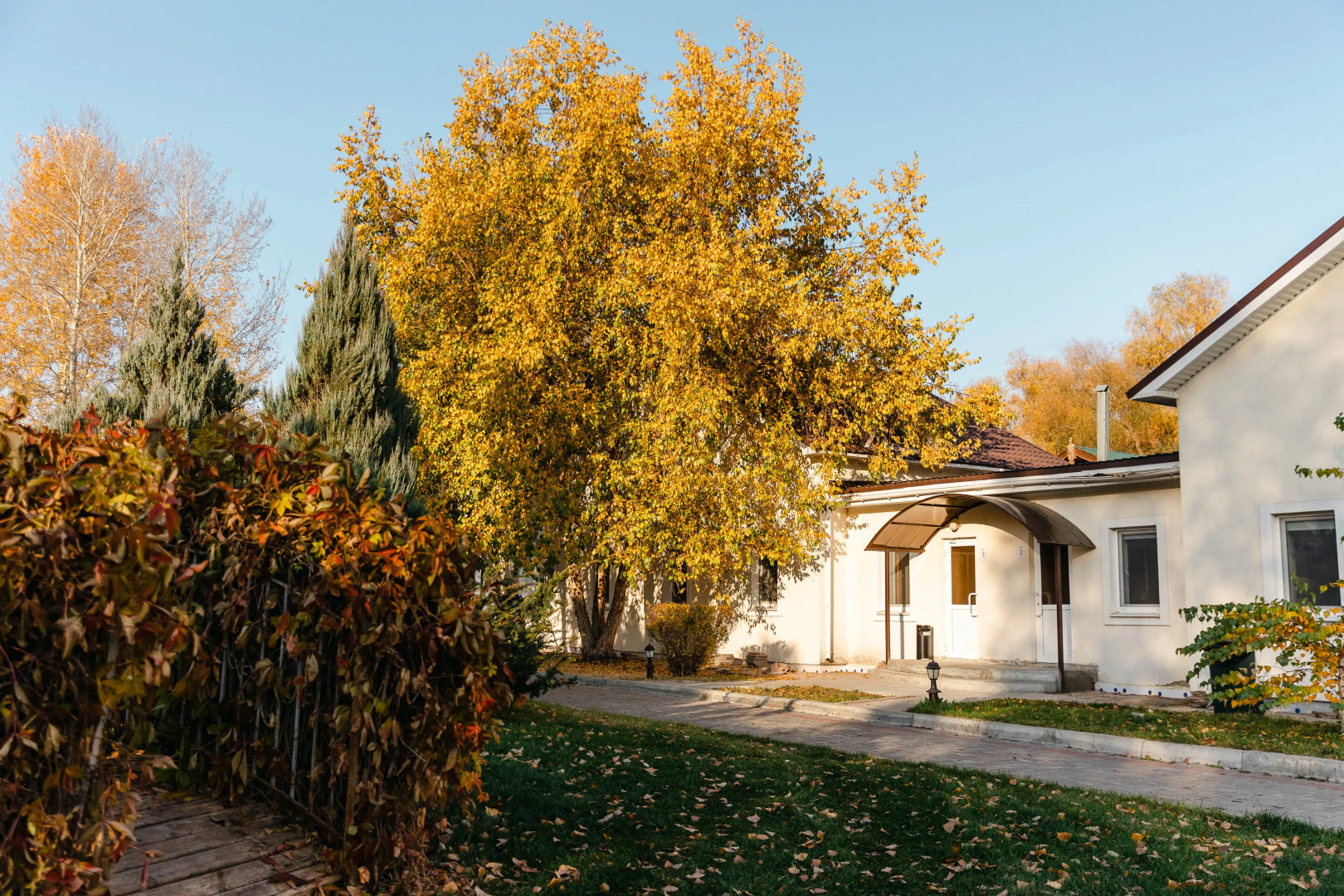 Rezidentsiya Mariya Guest House