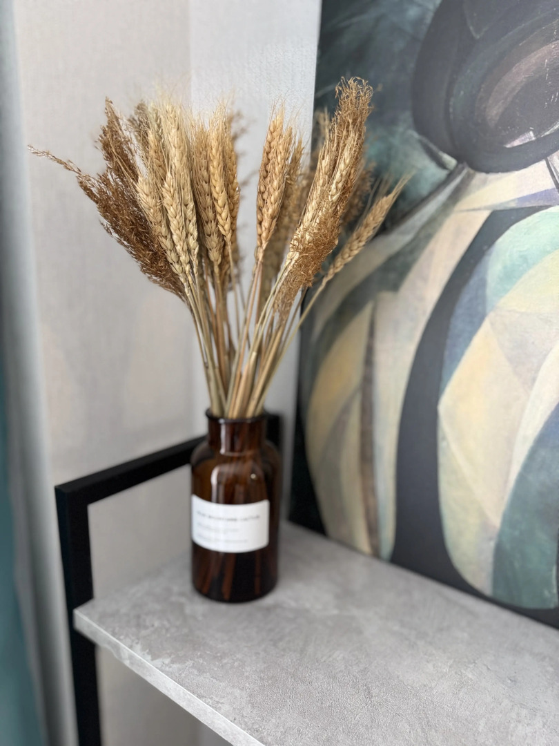 Апартаменты ХОРОШЕЕ место Некрасова 17