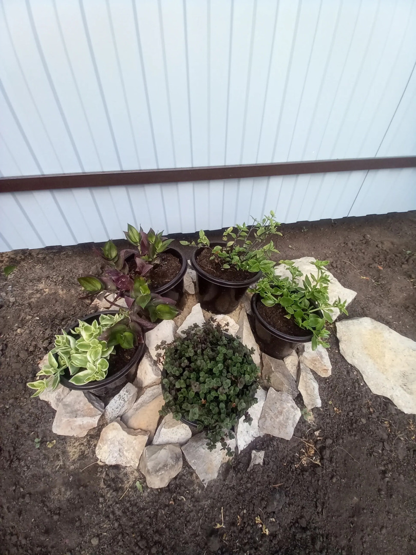 Квартира Уютная в стиле прованс