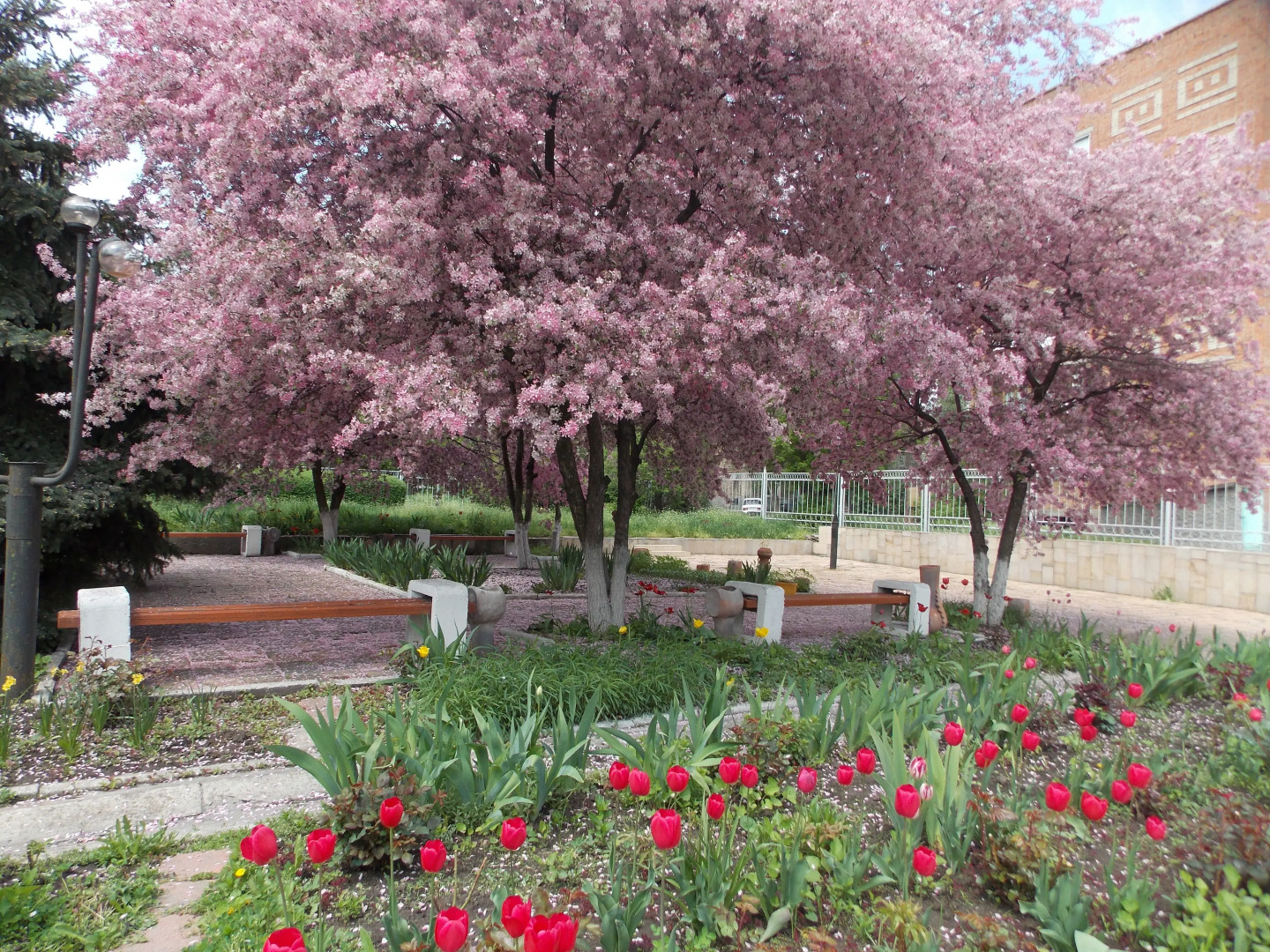 Отель Кузбасс