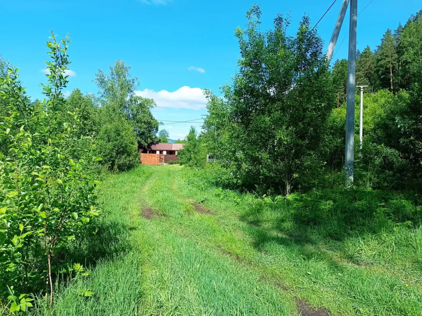 Гостевой дом EMIRELL ALTAI