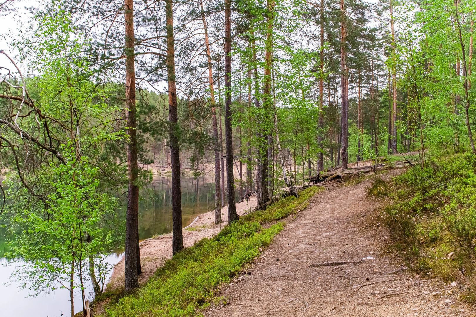 База отдыха Загородный клуб Радужный лес