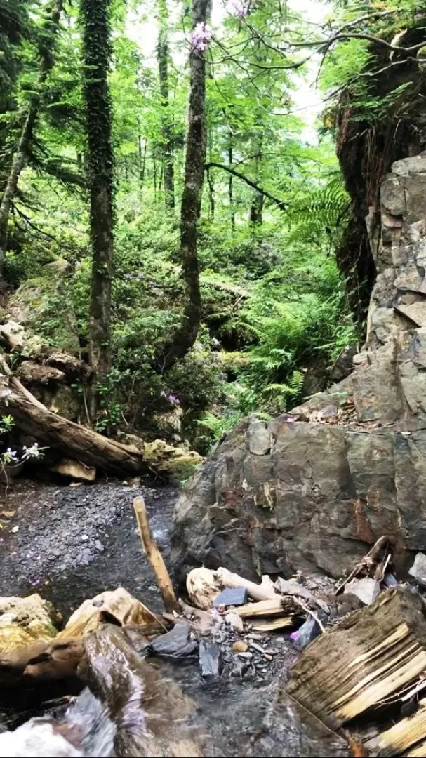 База отдыха Панорама