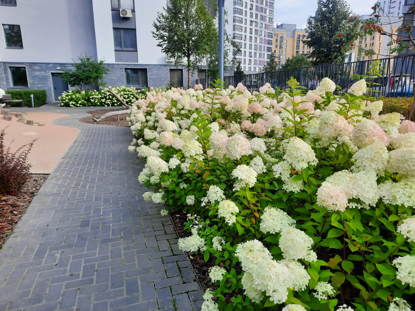 Апартаменты Home Inn