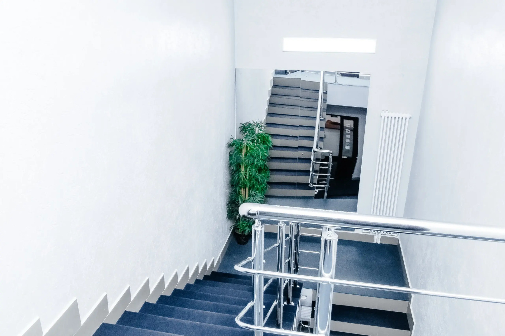 Отель Рубин