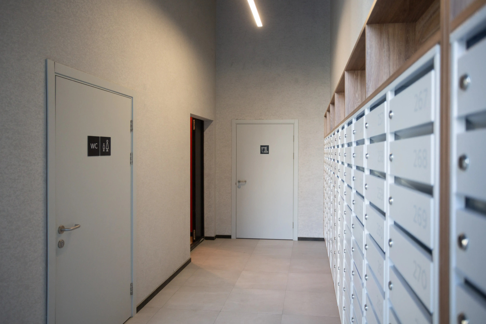 Апартаменты «Атмосфера» | Амазонка — Экватор Роскоши И Свободы