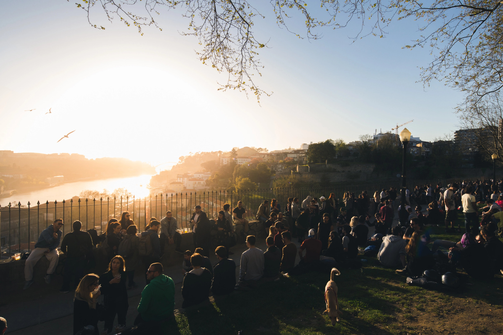 Апарт-Отель Virtudes City Lofts