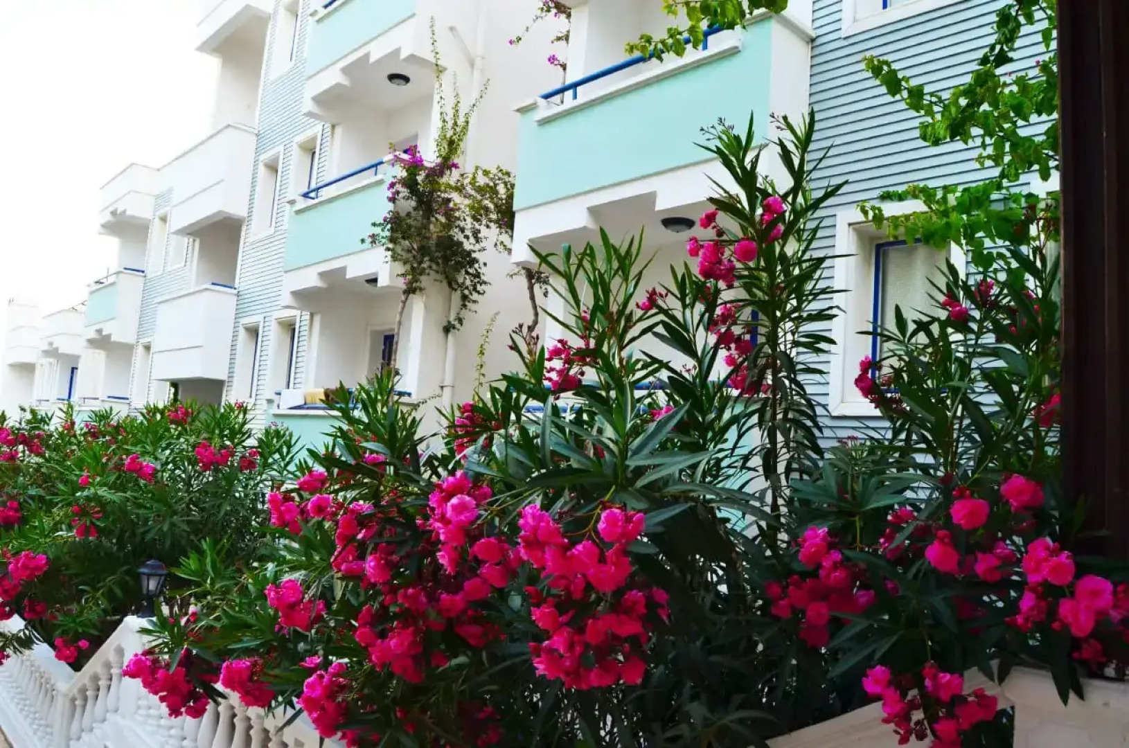 Отель Sunpoint Family