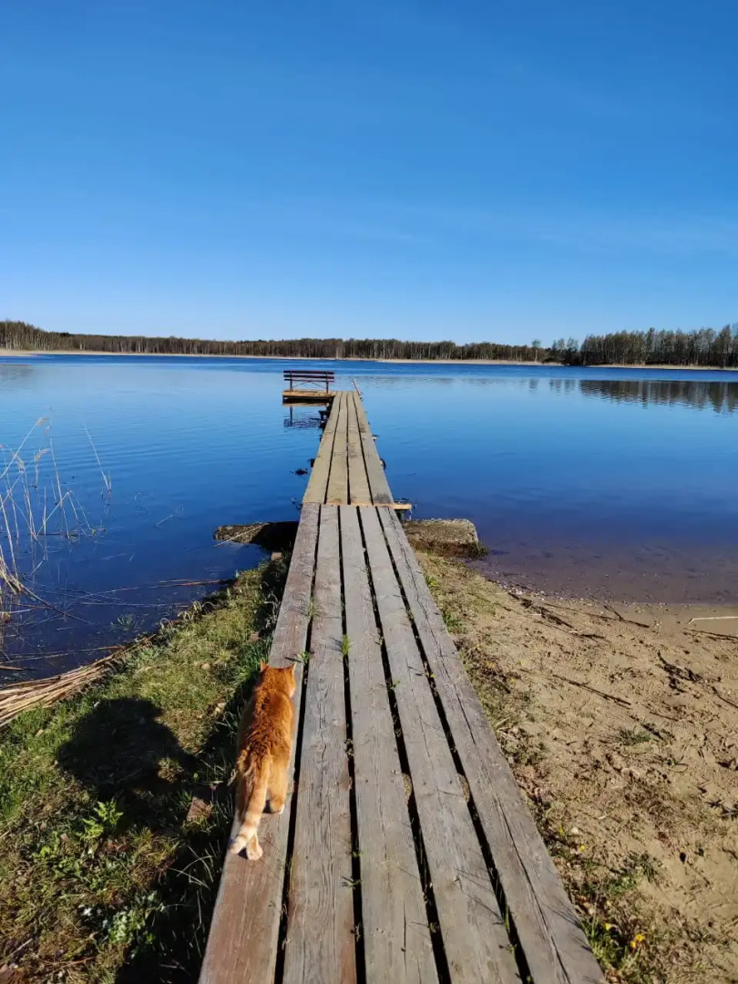 Гостевой дом Павловская Усадьба