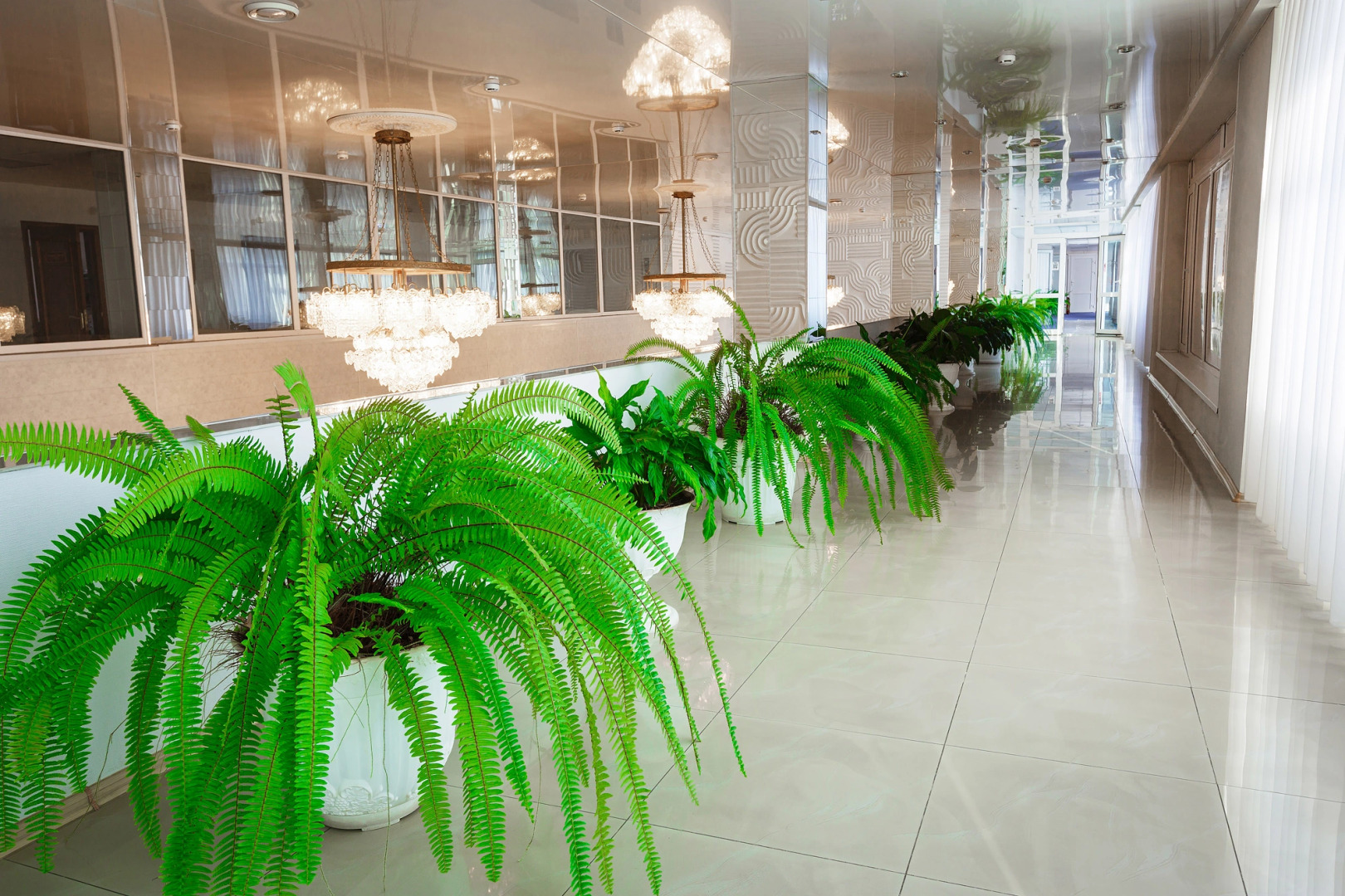 Гостиница Зея