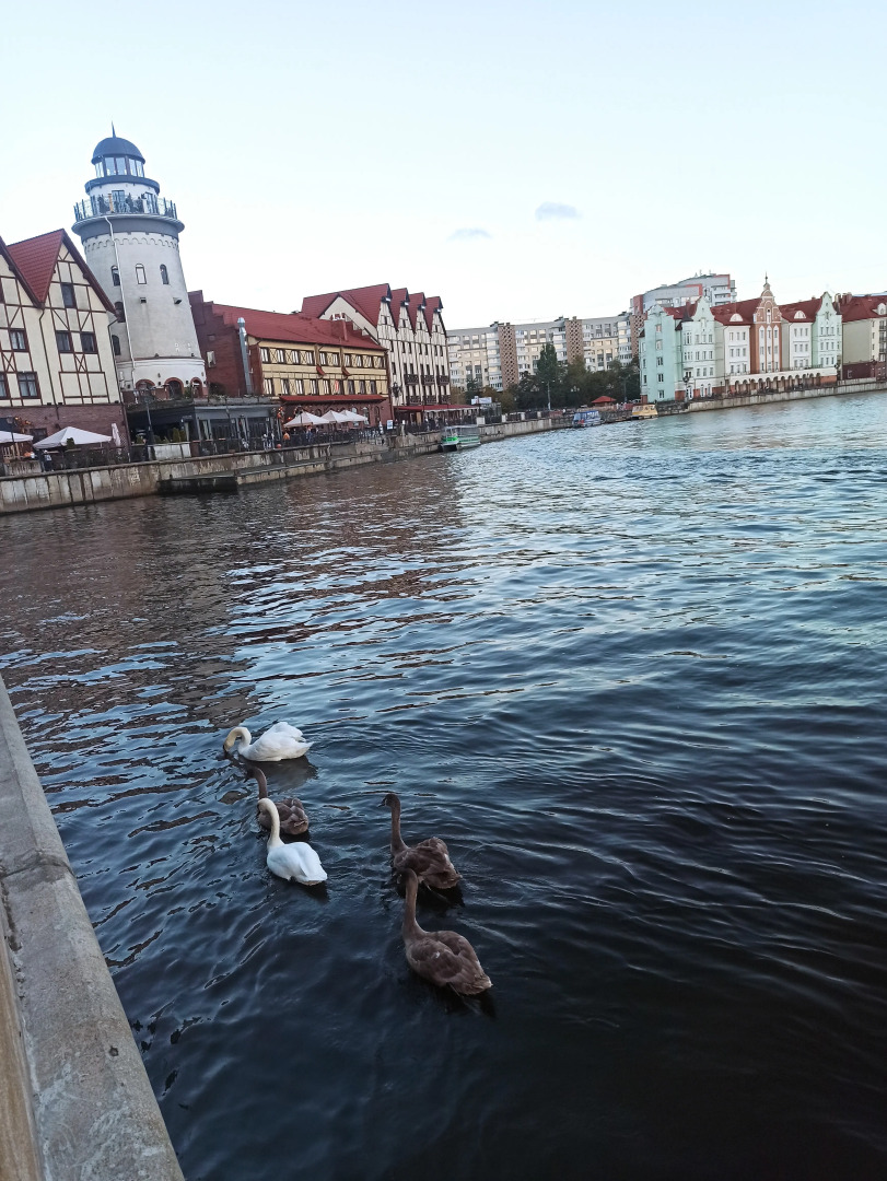 Квартира на Буткова,18 в центре города возле Мирового океана