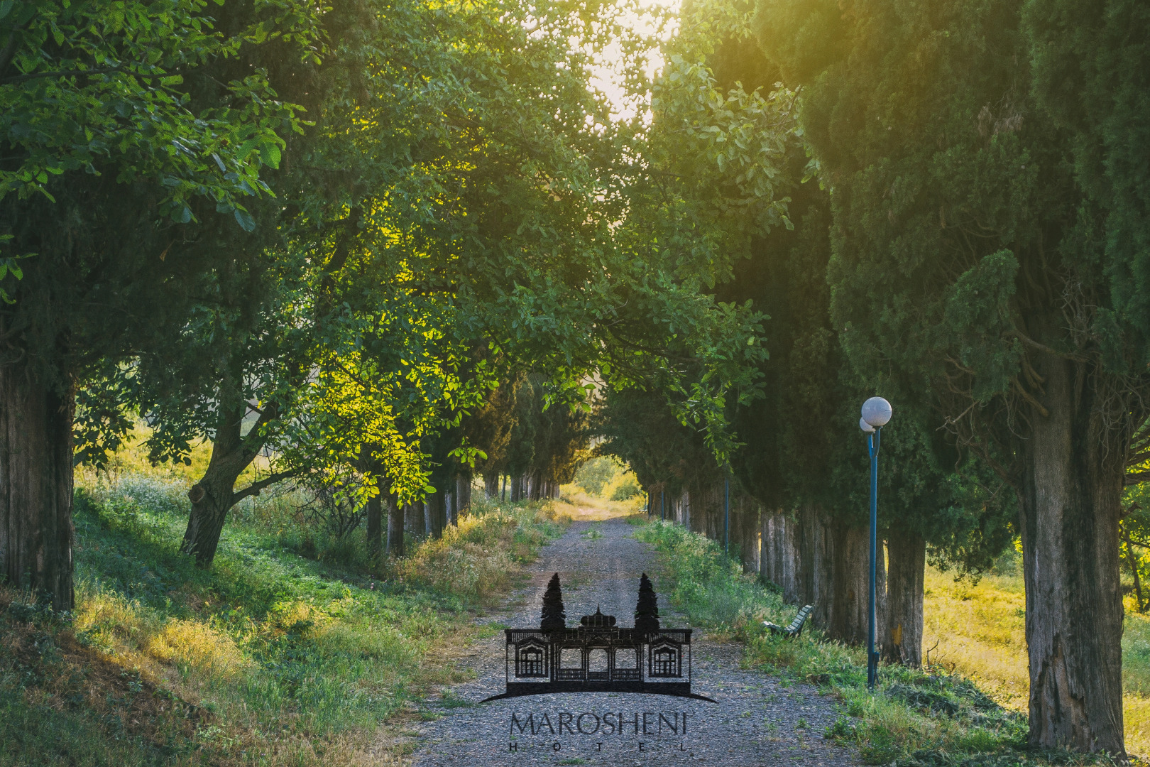 Отель Marosheni