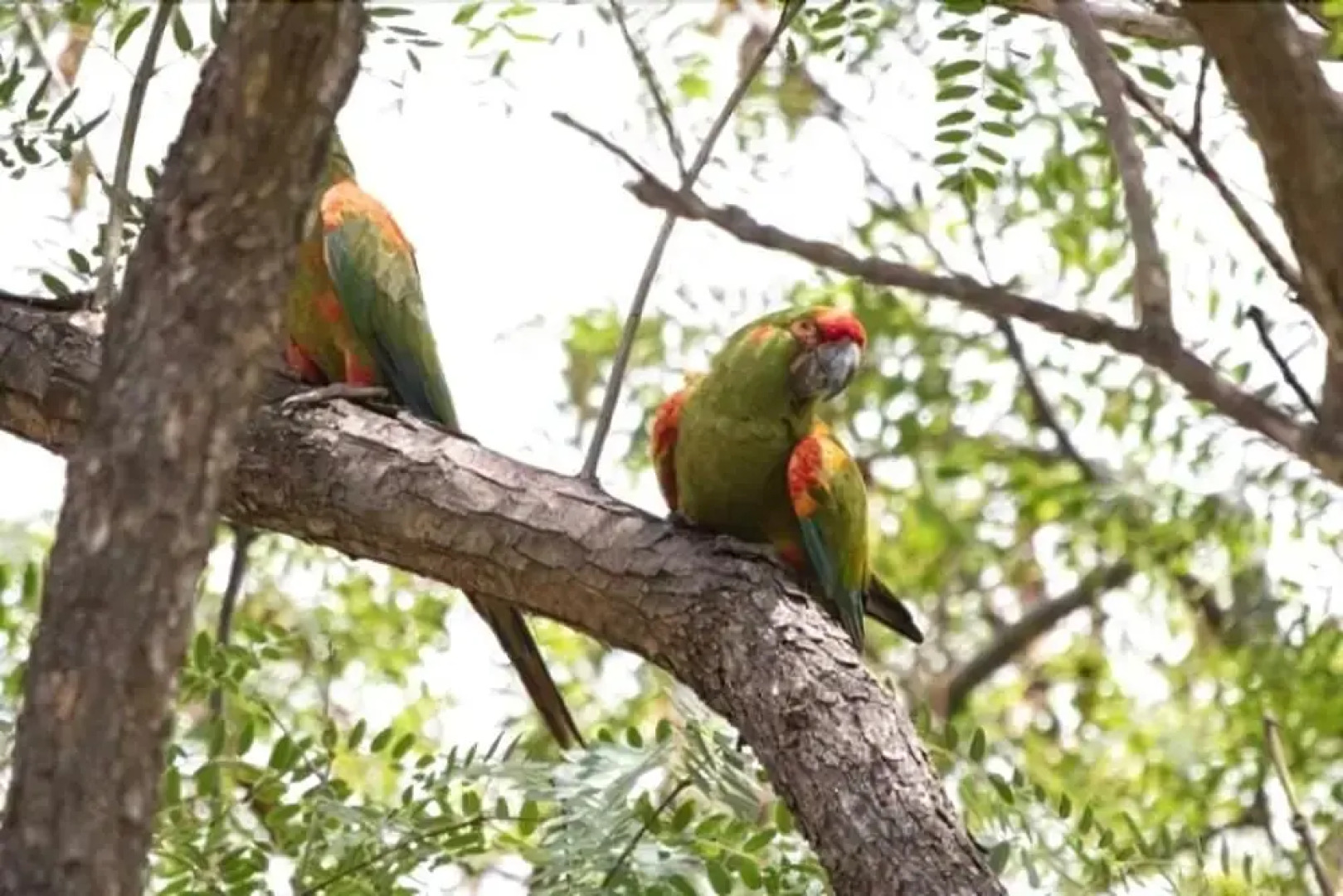 Гостевой Дом Ecolucerna Lodge