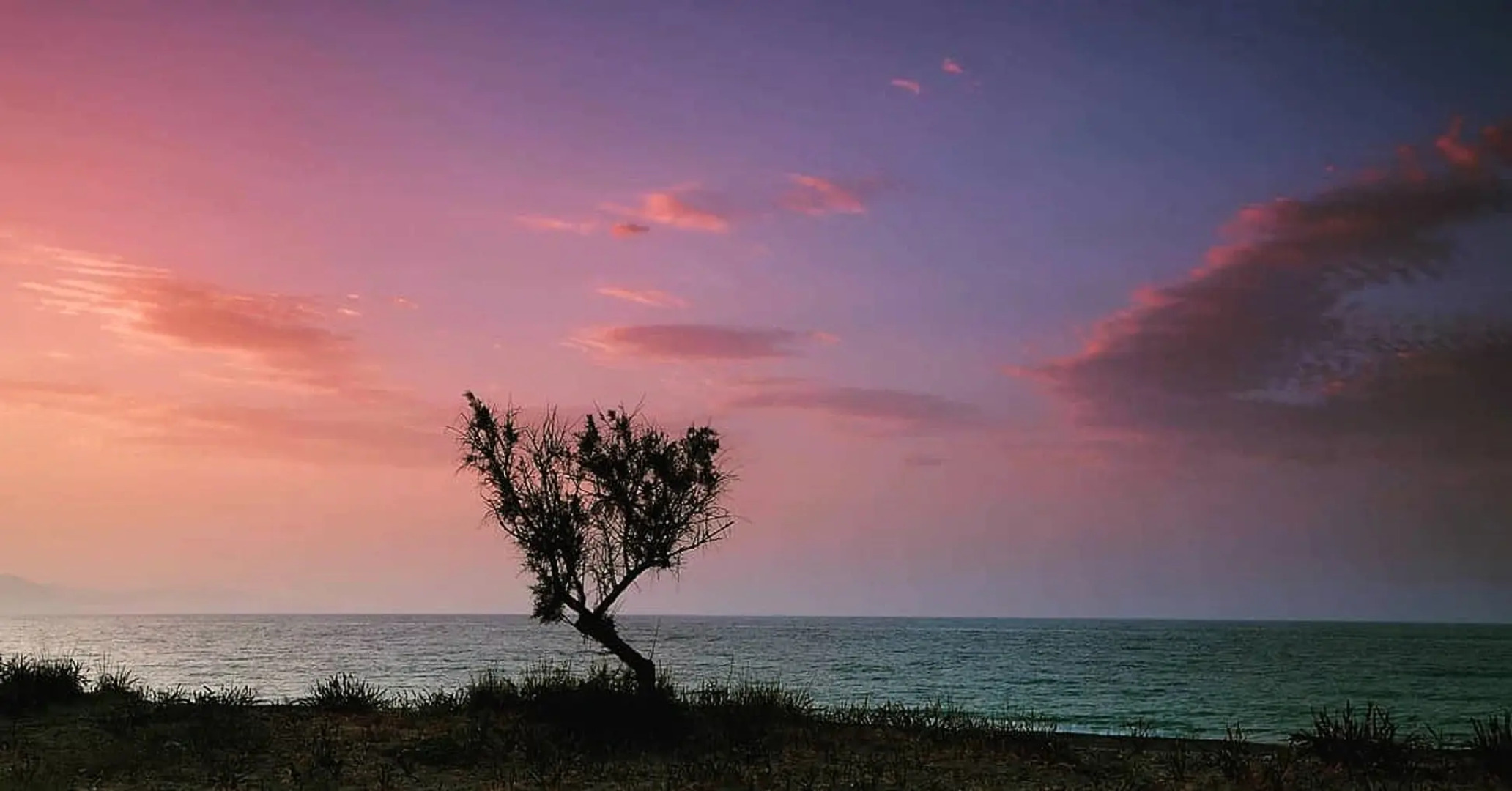 Отель Lito Beach