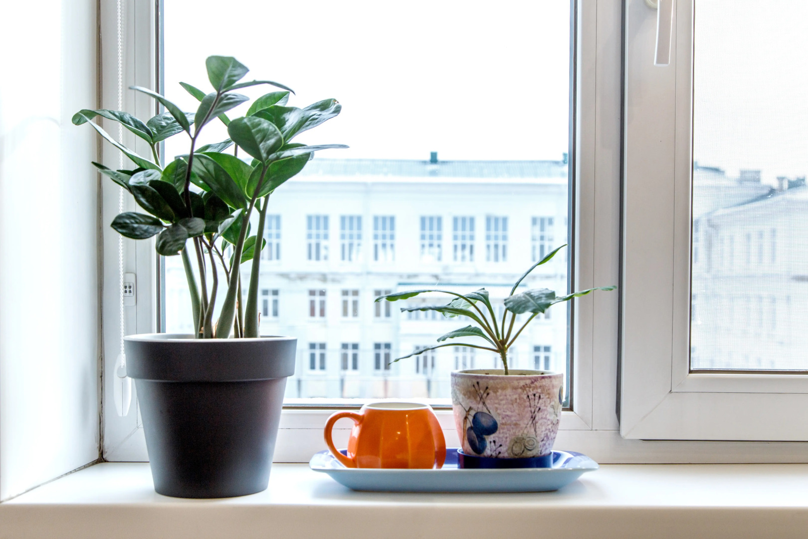 Апартаменты уютные семейные Лада в центре