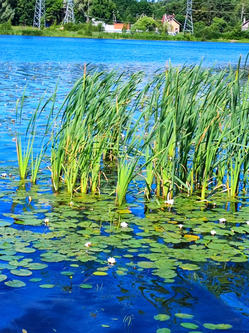 Частный дом у озера