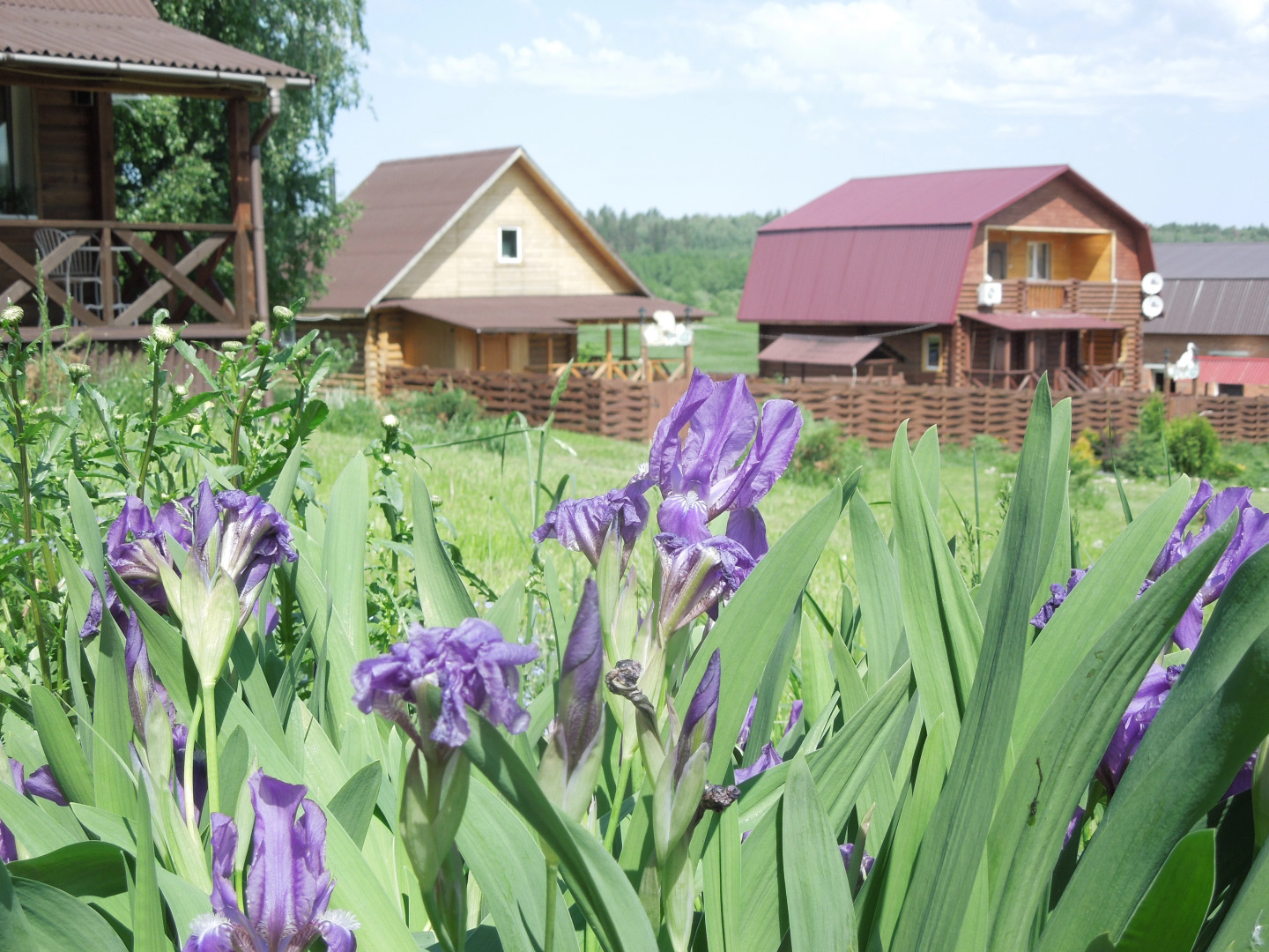 База Отдыха Раздолье