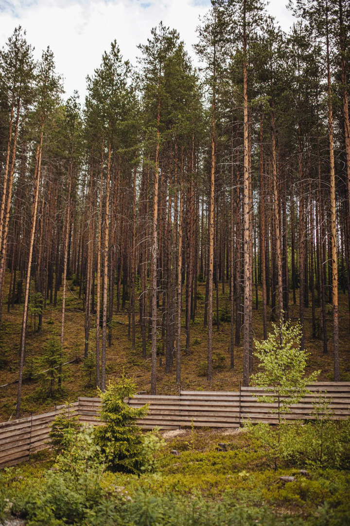 Гостевой дом Green house Kerelia