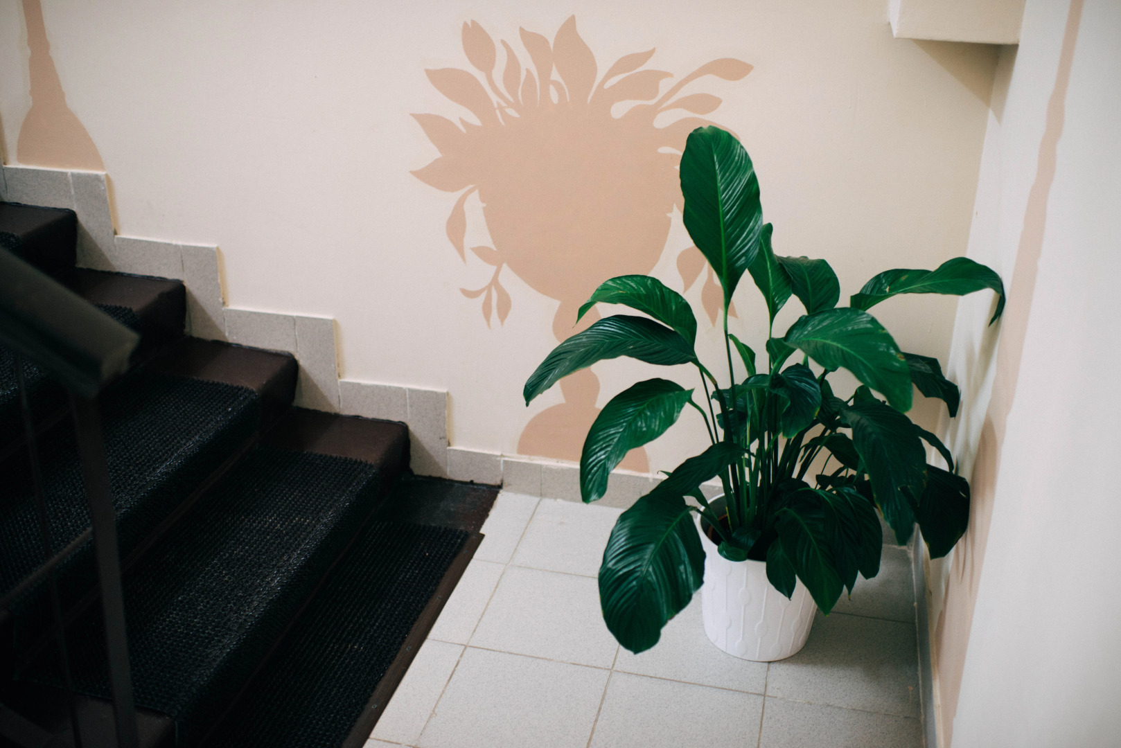 Отель Mr. Brown