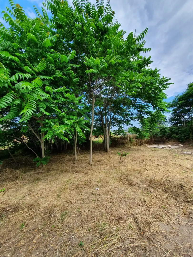 Гостевой дом Варенька