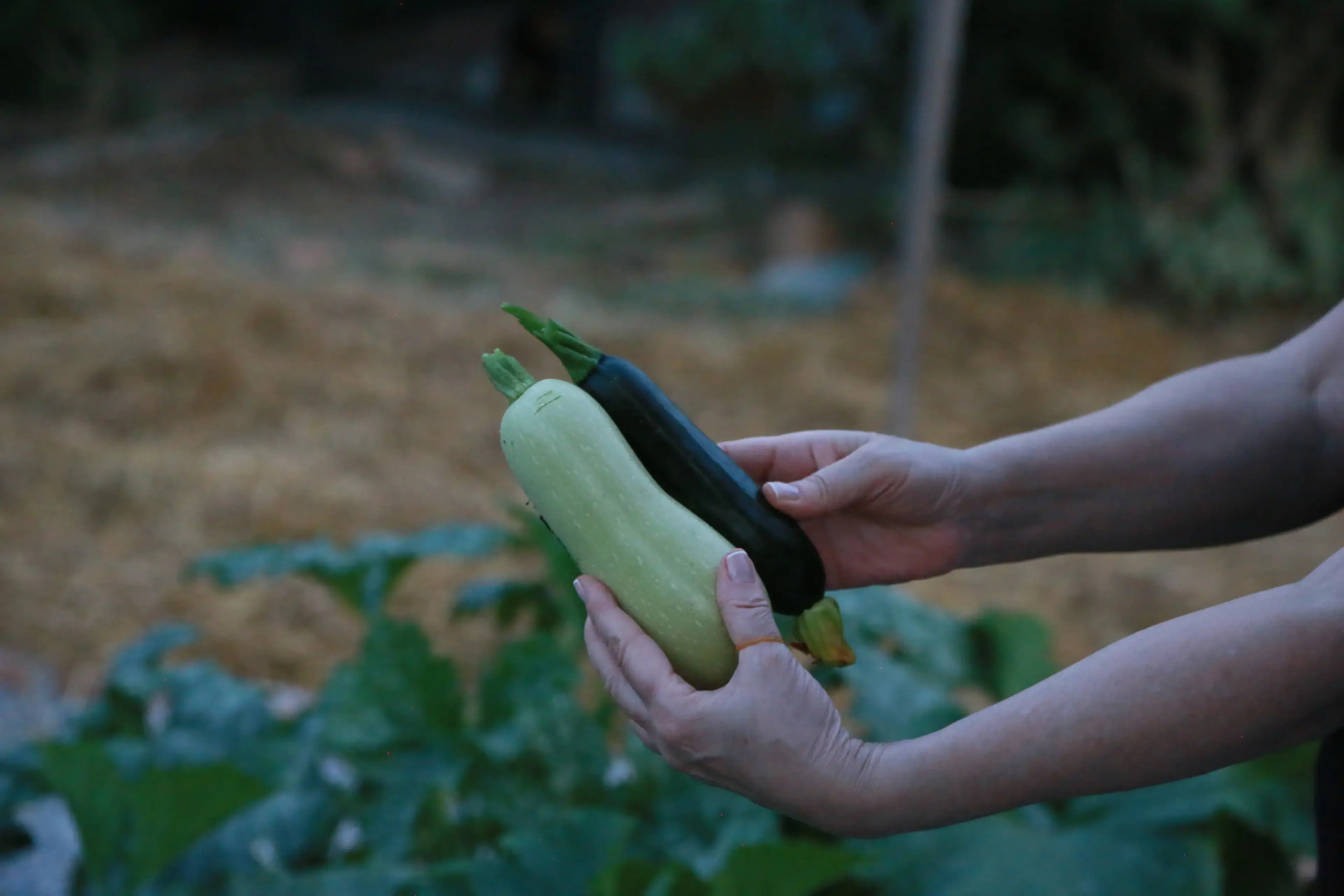 Отель Emirsoy Harası