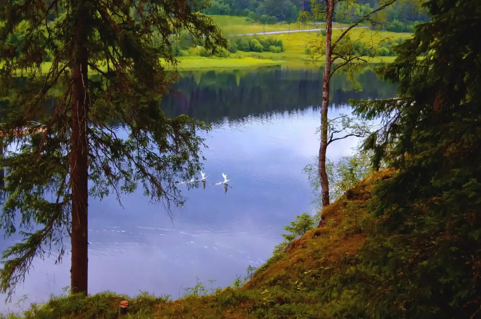 Шале у Озера