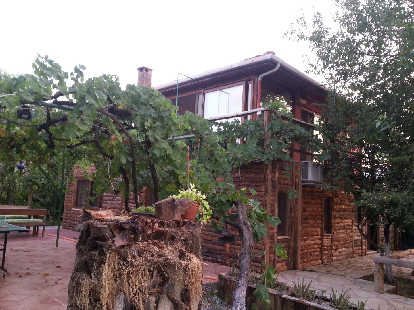 Sun Dalyan Yeni Adet Organic Certificated Mini-Hotel