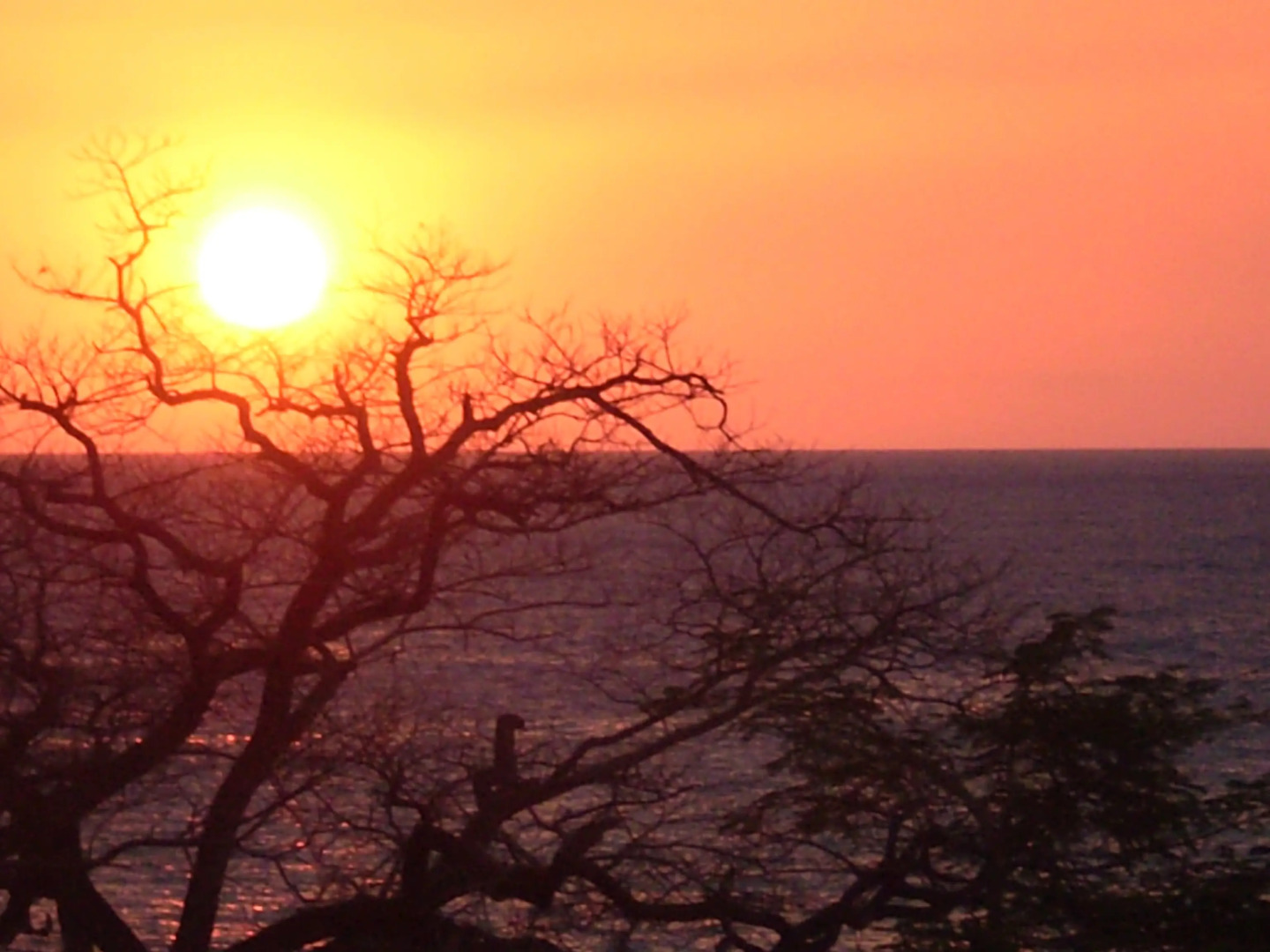 Гостевой Дом CUBA