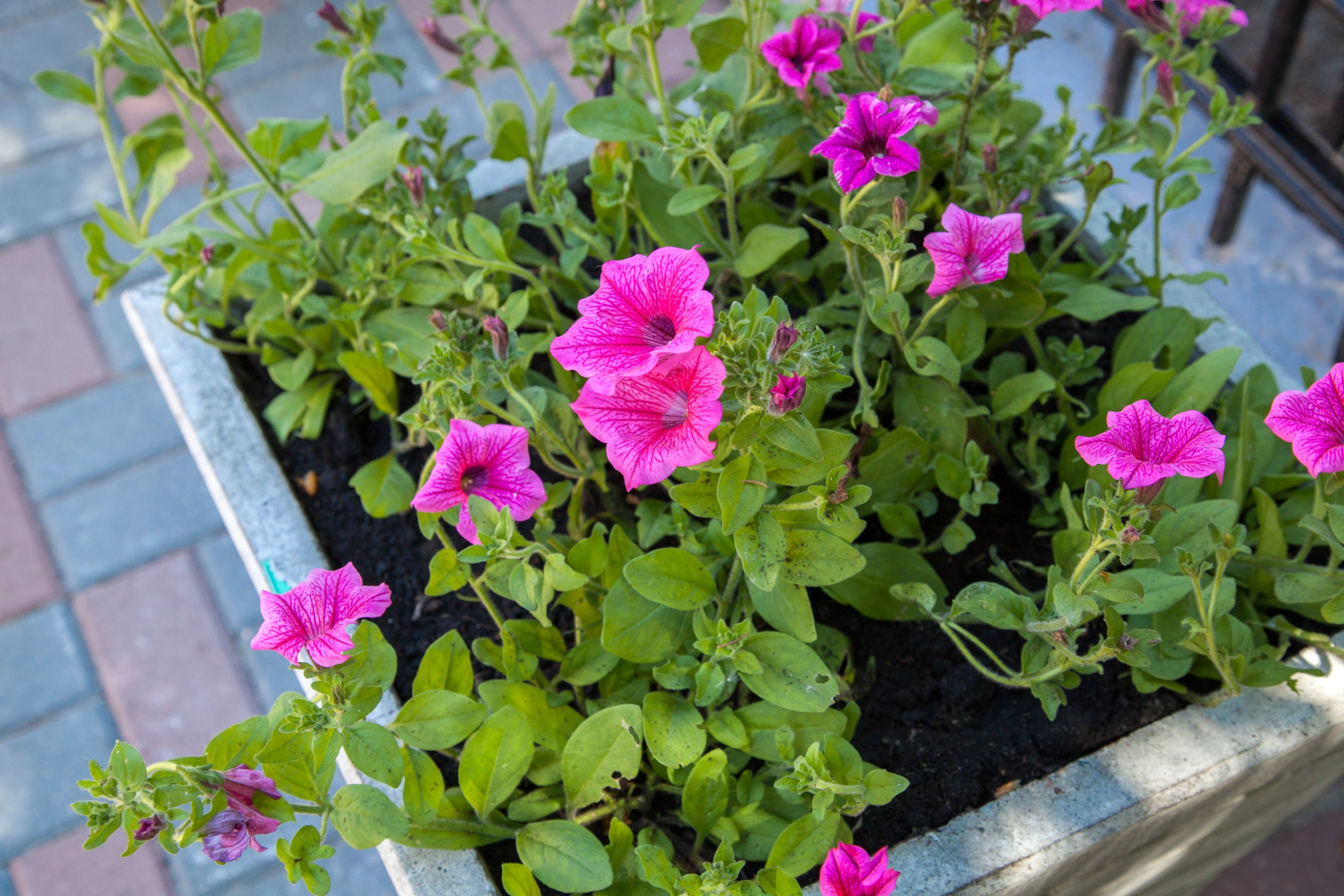 Мини-отель Подгорная 20