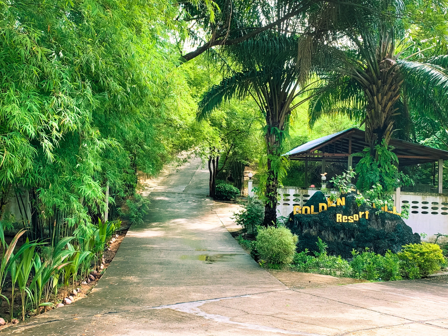 Отель Golden Hill Resort