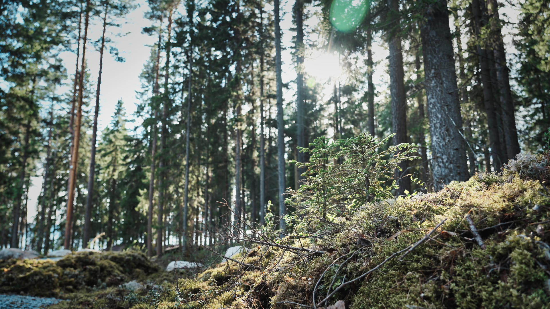 Частный Дом Lahti Club