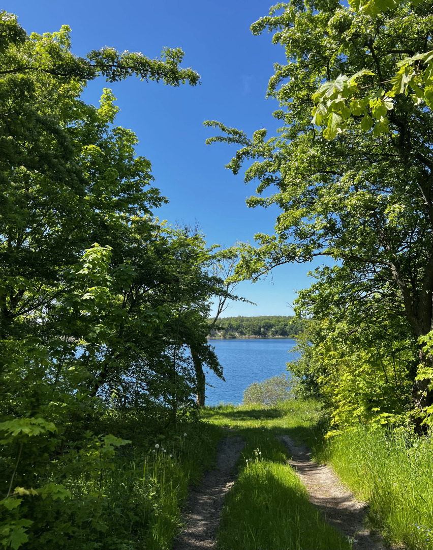 Шале Уютная дача на море