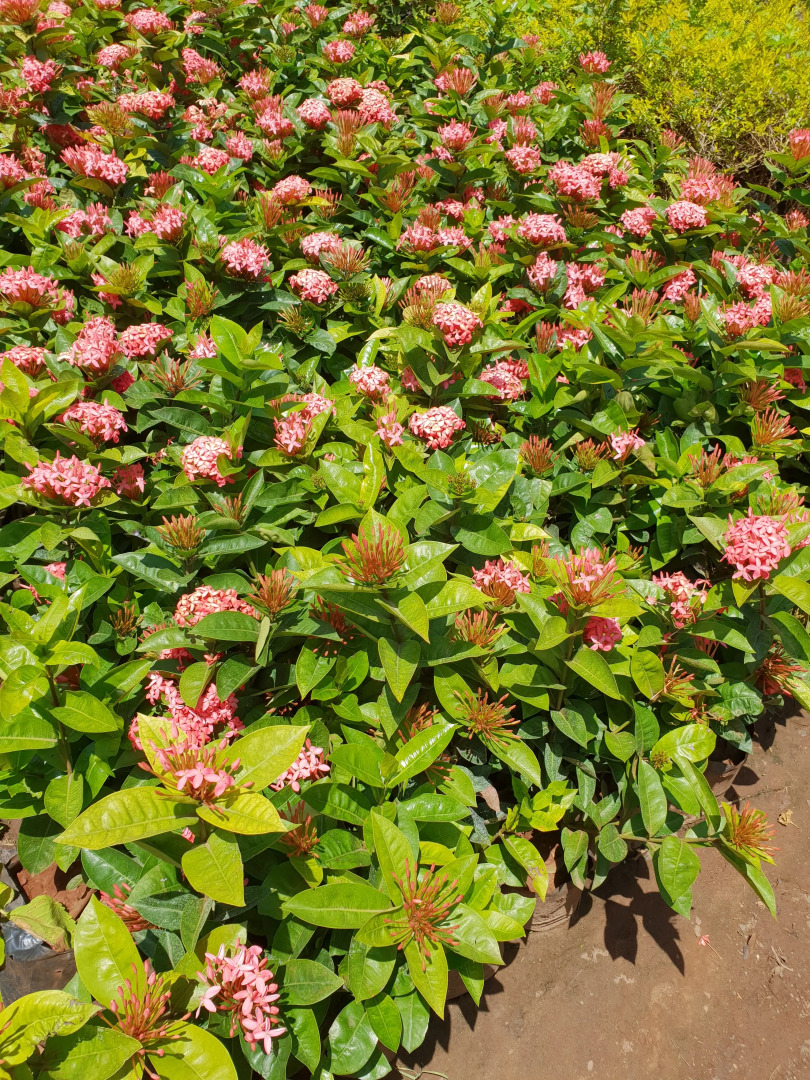 Гостевой Дом The Cool Huts