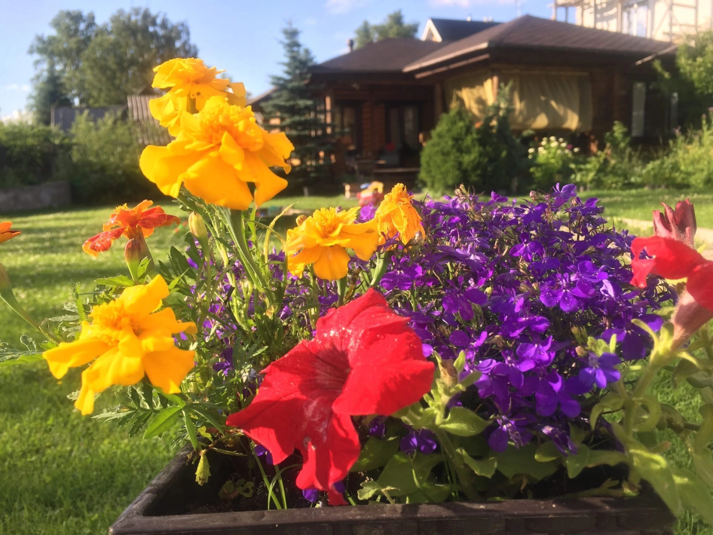 Коттедж на Березовой