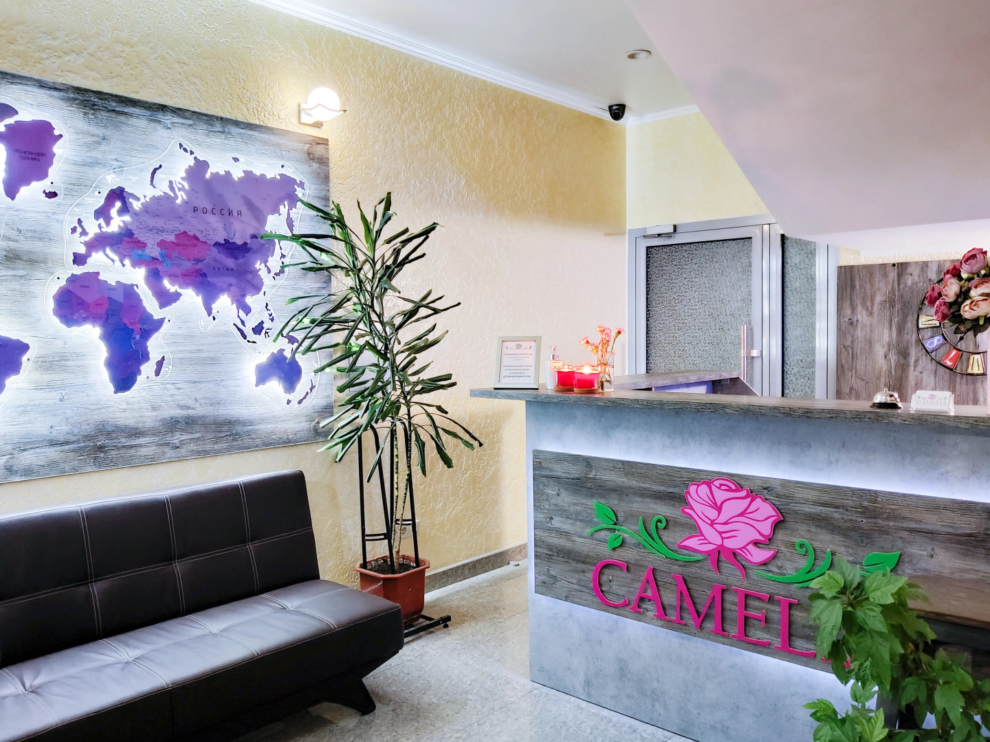 Отель Камелия