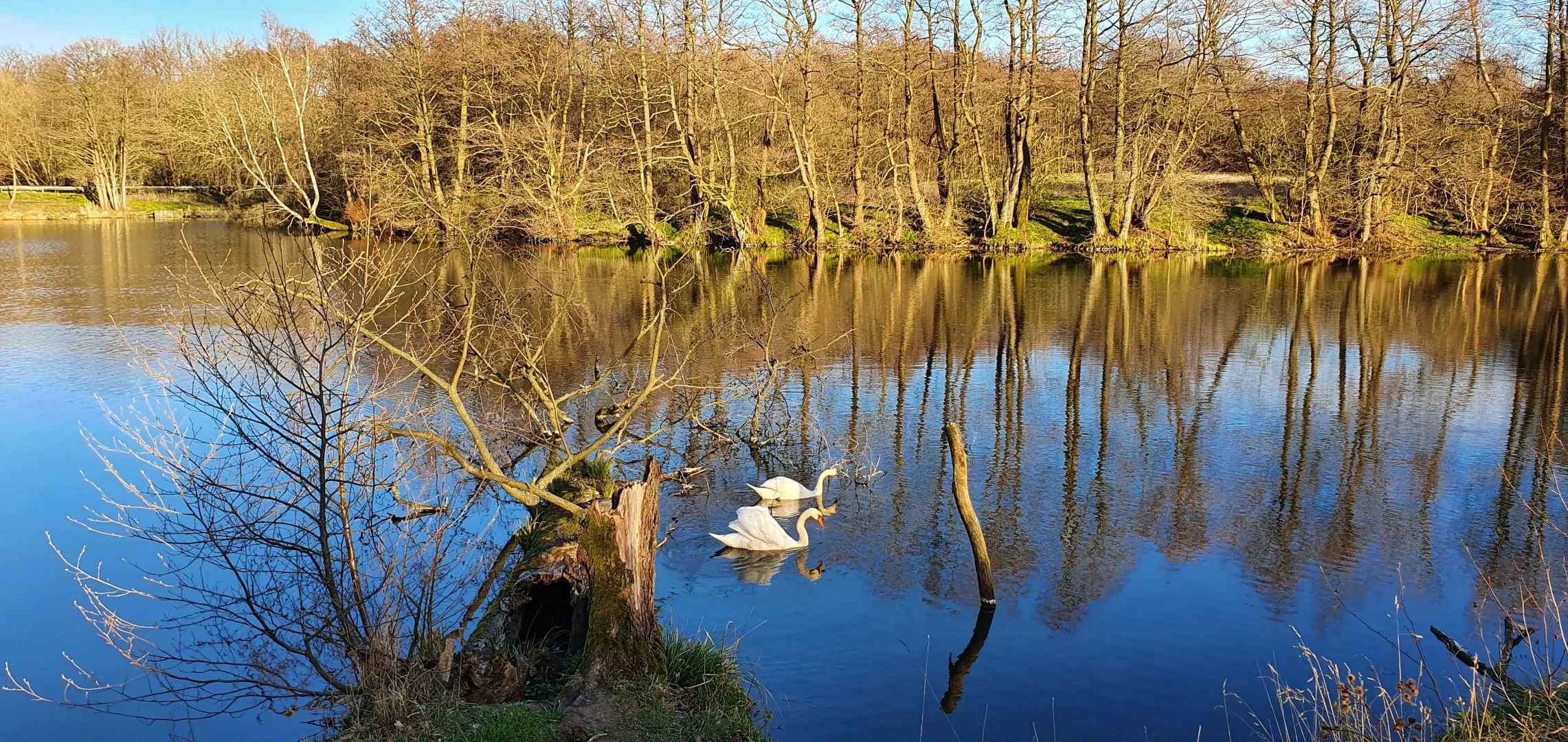 Гостевой дом Филино