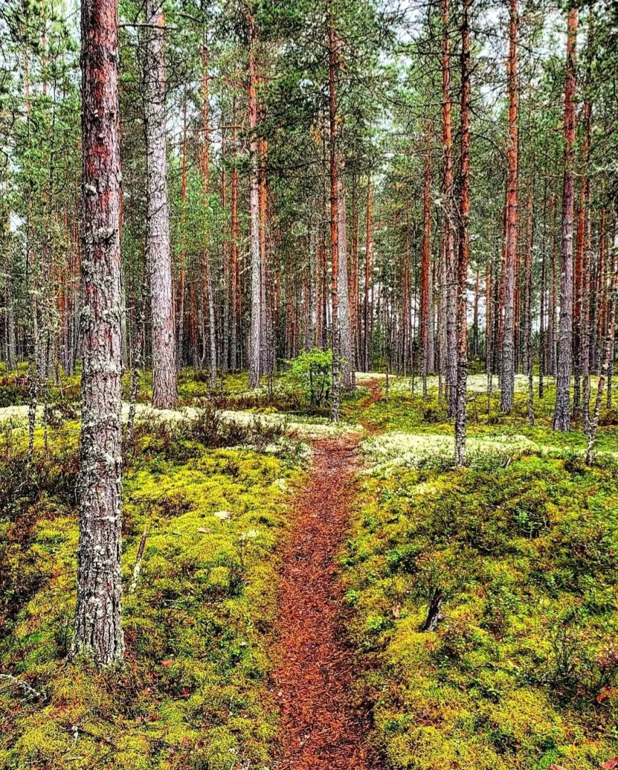 Частный дом в Терву