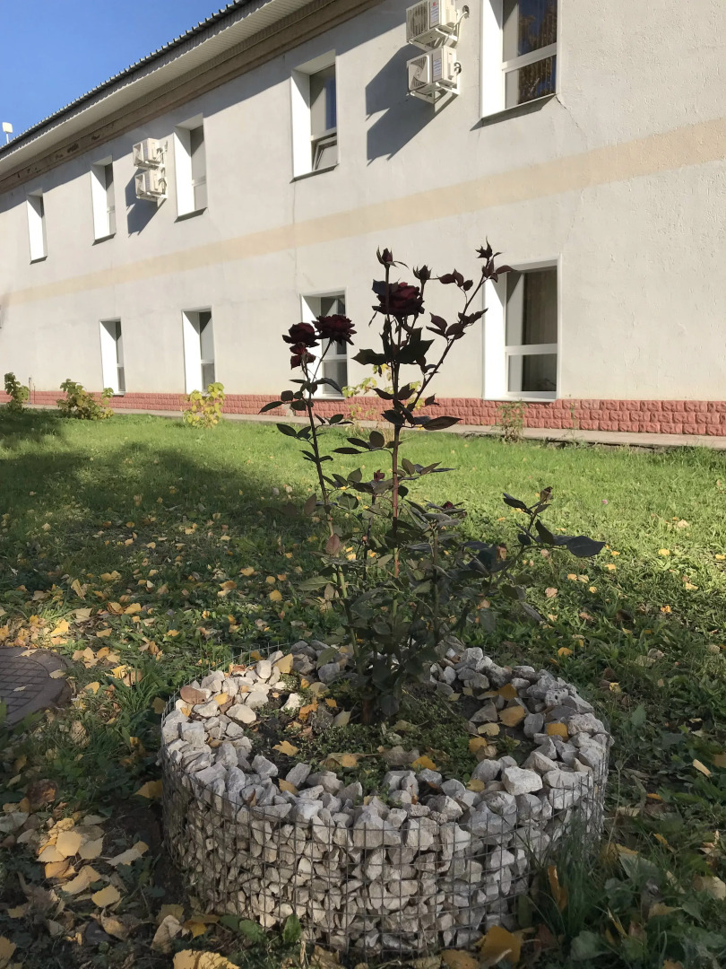 Гостиница Баргузин