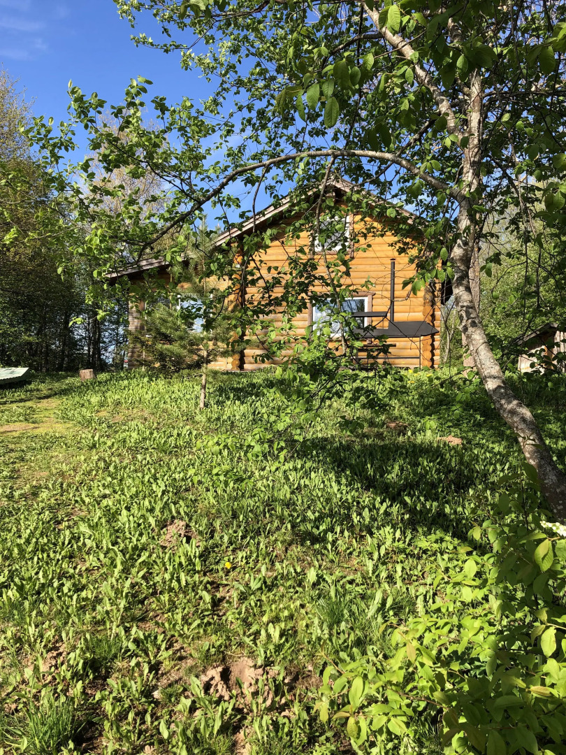 База Отдыха Лесная Гавань