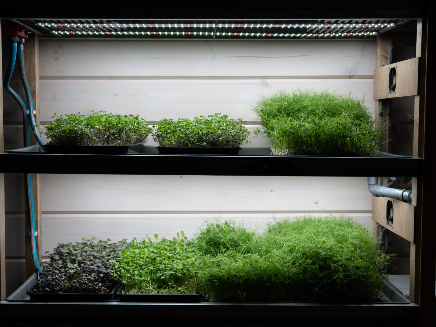 Отель Загородный клуб Любытино Хутор